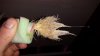20140223_231837.jpg