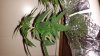 20140223_231811.jpg