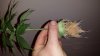20140223_231937.jpg