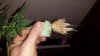 20140223_231845.jpg