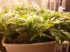 20140222_083844.jpg