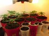 20140223_135014.jpg