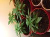20140223_134918.jpg