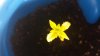20140224_140455.jpg