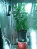 CAM00600.jpg