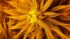 20140224_203543.jpg