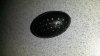20140224_232639.jpg