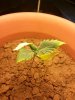 20140228_010556.jpg