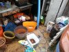 Planting Tools.jpg