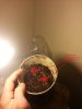Soil for Germ. Seeds Blue Knight x2.jpg