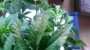 WP_20140302_001.jpg