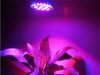 Full Red  Full spectrum 12x3W LED grow PAR light 016.jpg