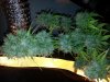 20140304_101648.jpg