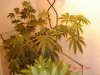 DSC02060.jpg