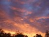 DSCF2679.jpg