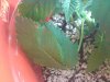 DSC00420.jpg