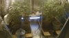 WP_20140308_005.jpg