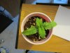 day 24 010.jpg