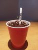 20140310_233854.jpg
