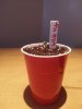 20140310_233723.jpg