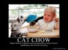 634169554426646780_CatChow_Funny_Moti_Posters-s800x600-85086-580.jpg