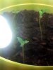 IMG_20140316_014754.jpg