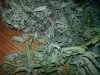 20140313_173515.jpg 20140313_173515.jpg