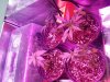 20140316_115913.jpg