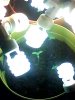 IMG_20140316_135354.jpg