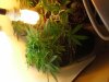 20140316_131814.jpg