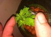 IMG_0192.jpg