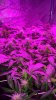 20140318_093613.jpg 20140318_093613.jpg