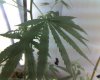 13-11-08_0912.jpg