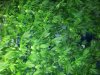 20130604_190552.jpg 20130604_190552.jpg