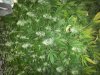 20130616_172608.jpg