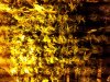 20130711_194425.jpg