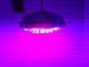 20140319_230808.jpg