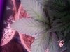 20140319_202359.jpg 20140319_202359.jpg