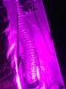 IMG_0128.jpg IMG_0128.jpg