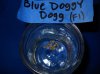 Blue Doggy Dogg (start germ) 1.JPG
