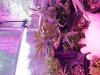 20140323_100218.jpg
