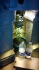 WP_20140323_15_41_59_Pro.jpg