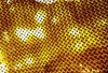 6-aftervac2.jpg