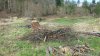 20140323_160220.jpg