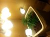 20140325_152500.jpg