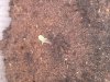 20140317_234213.jpg