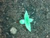 20140320_161417.jpg