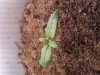 20140325_130510.jpg