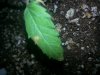 20140326_193926.jpg