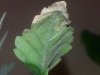 20140326_194428.jpg